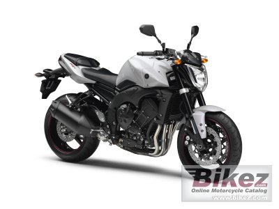 2010 Yamaha FZ1 photo